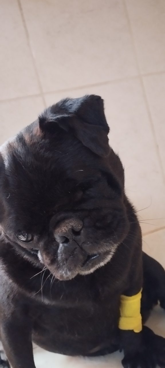 Foto