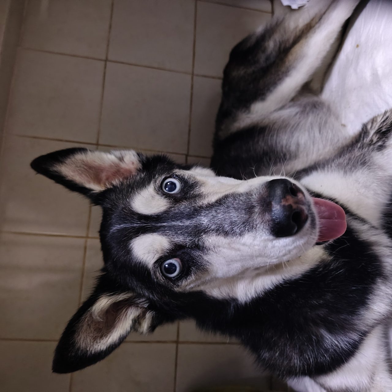 Foto