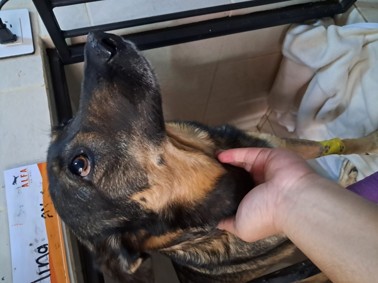 Foto
