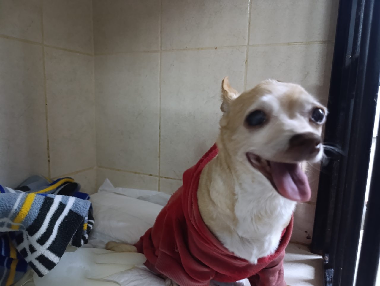 Foto