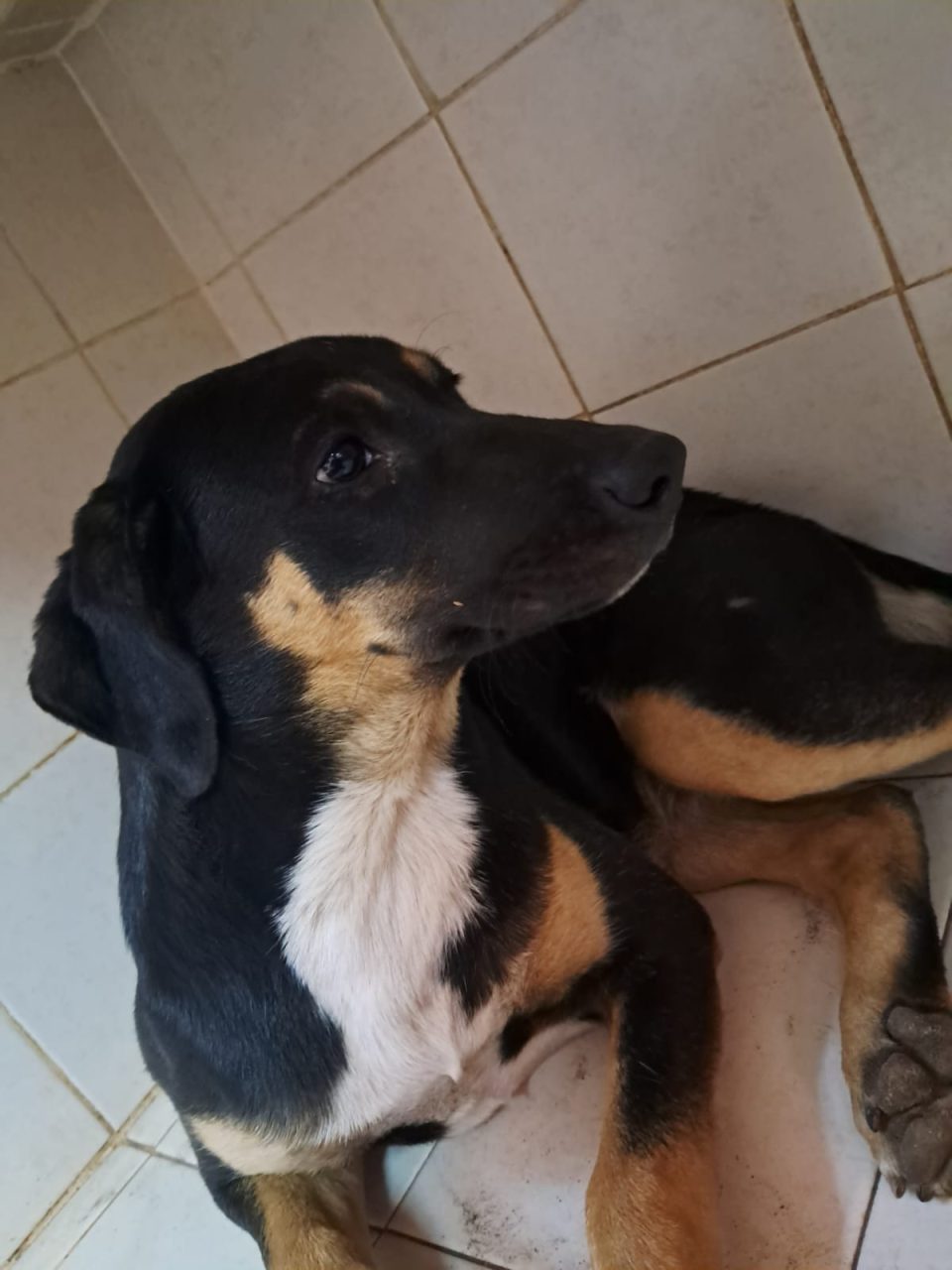Foto
