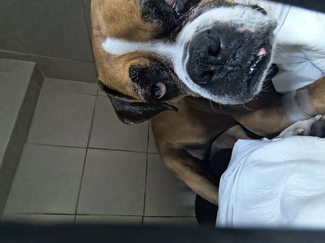 Foto