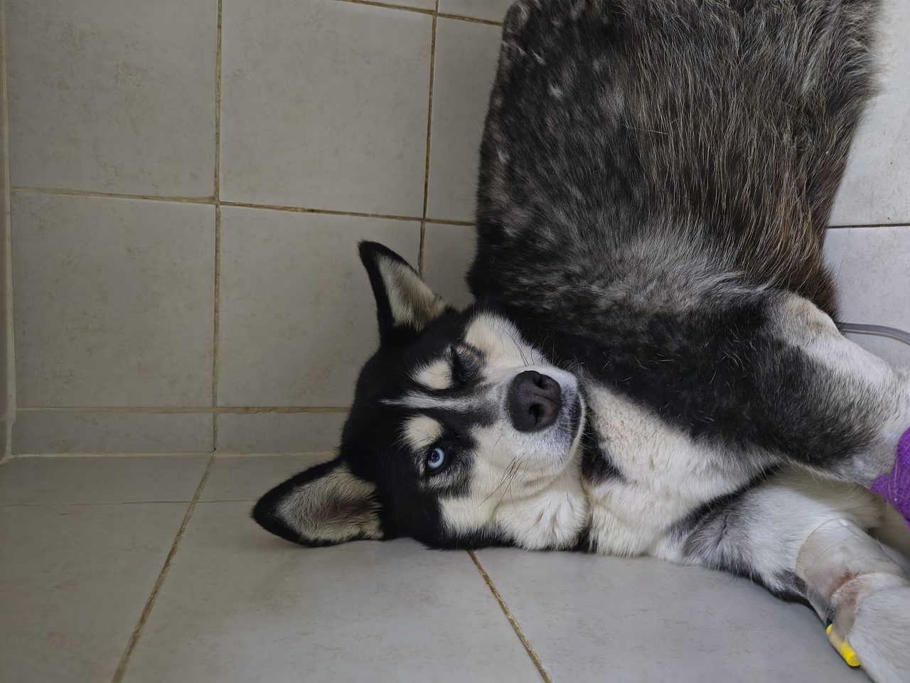 Foto