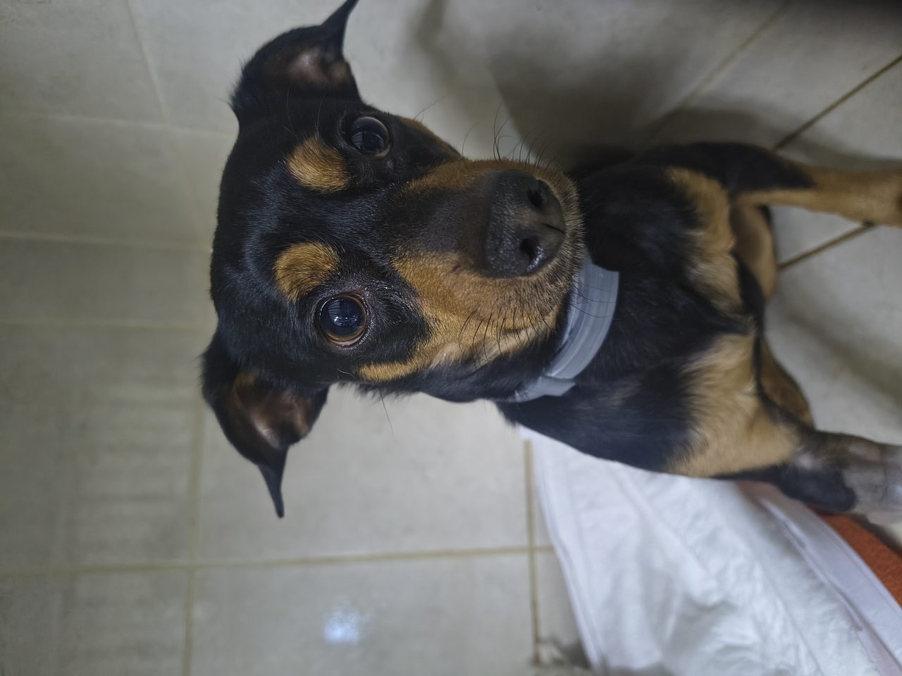 Foto