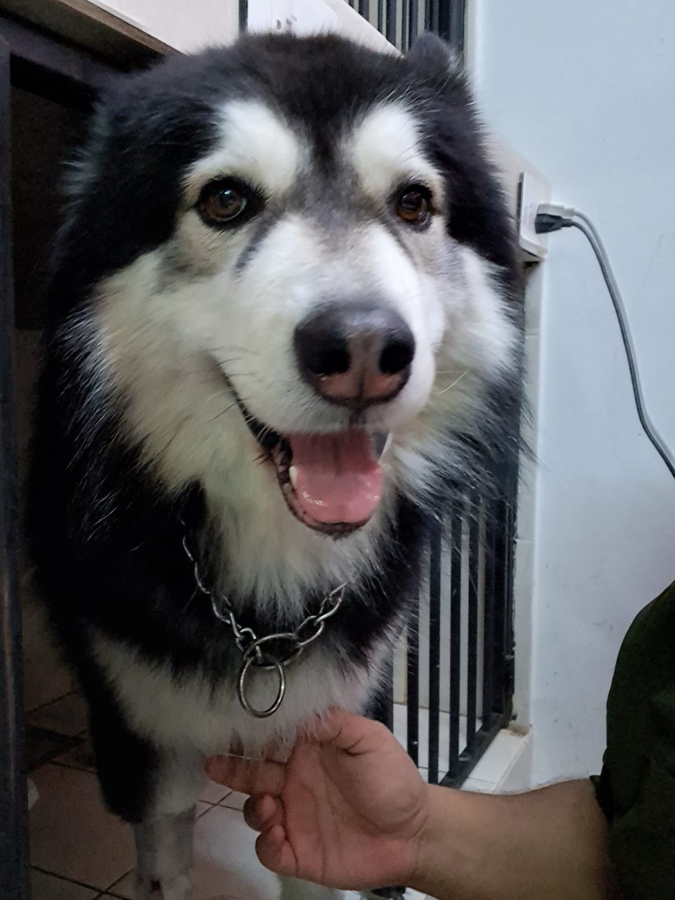 Foto