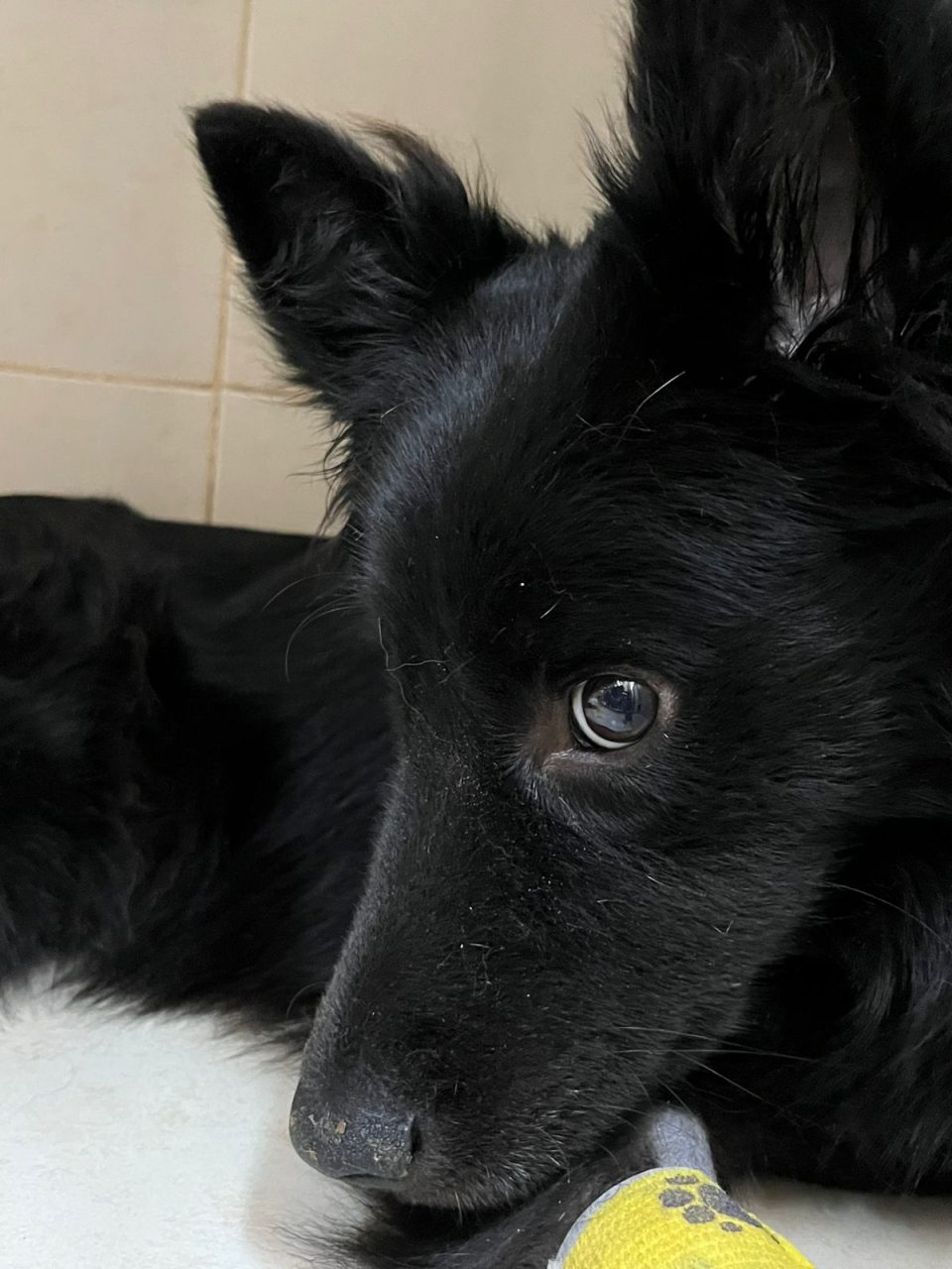 Foto