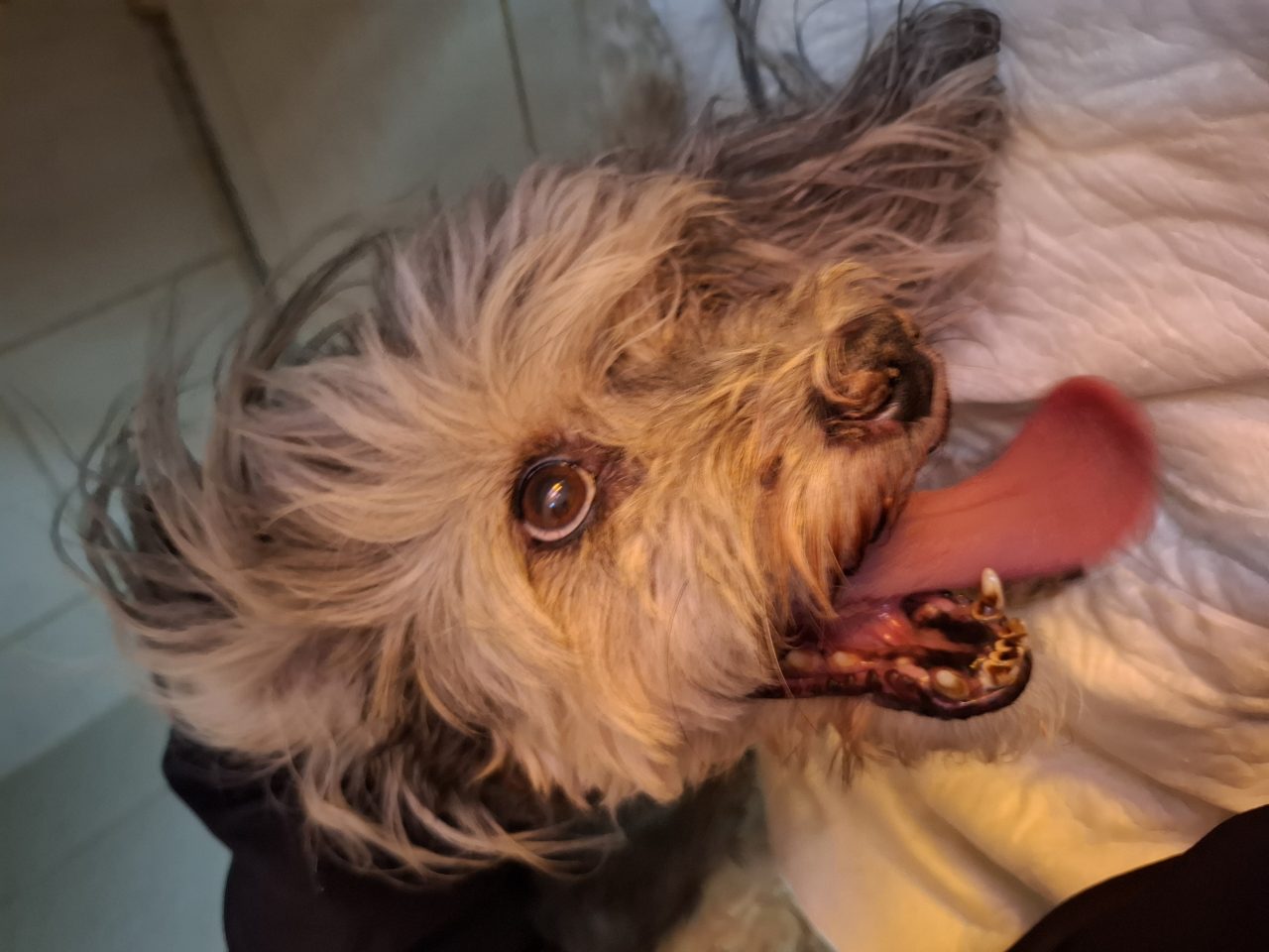 Foto