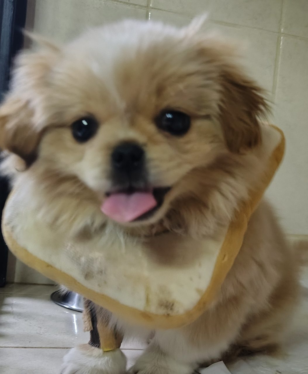 Foto