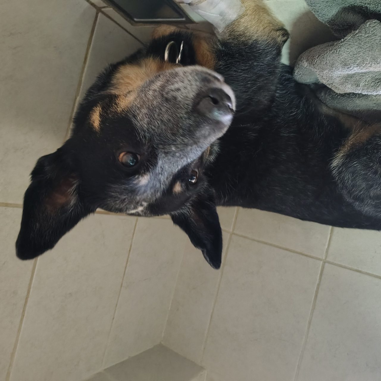 Foto