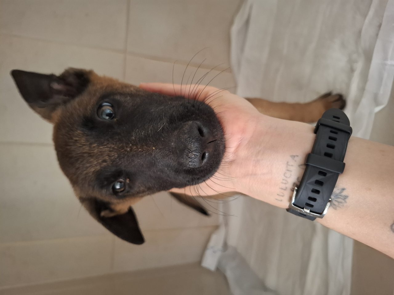Foto