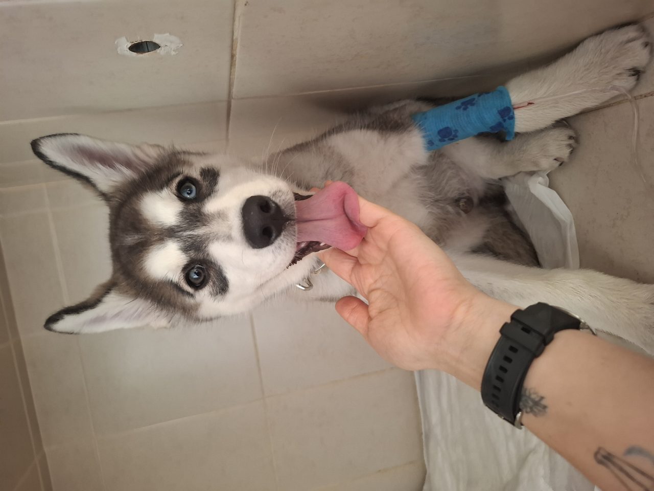 Foto