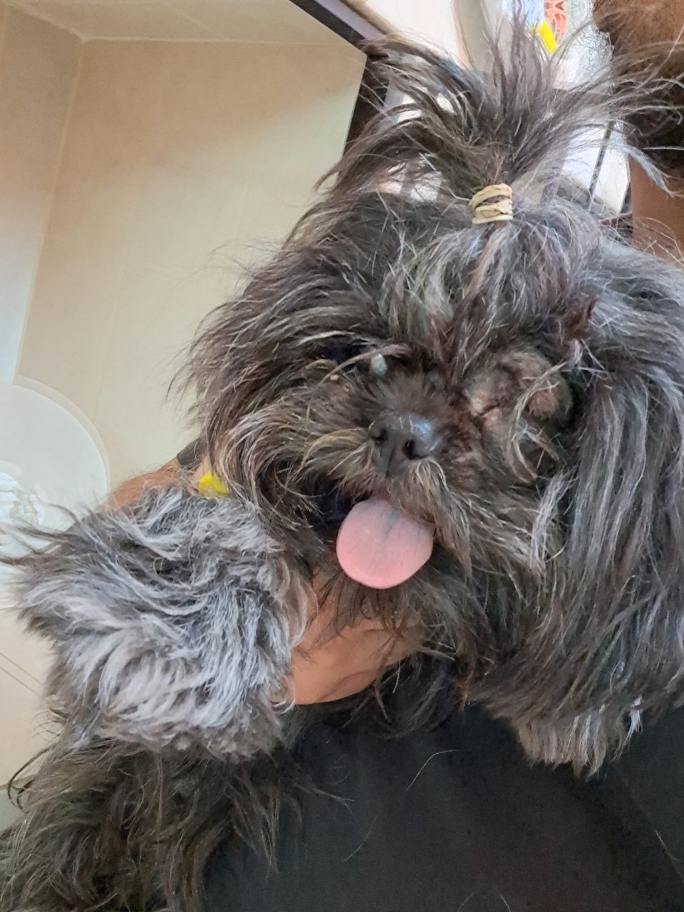 Foto