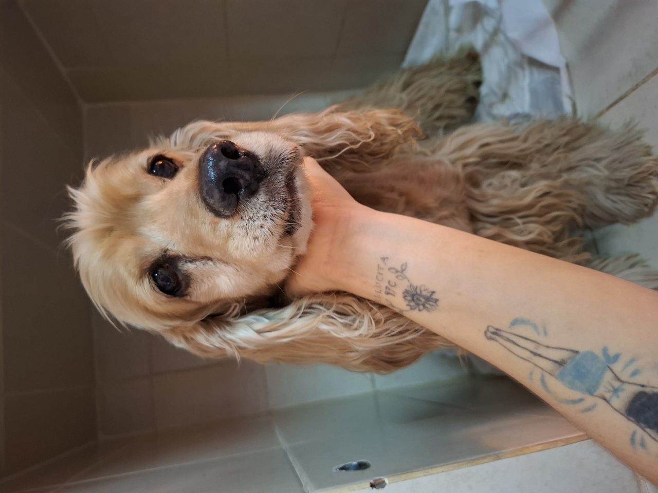 Foto