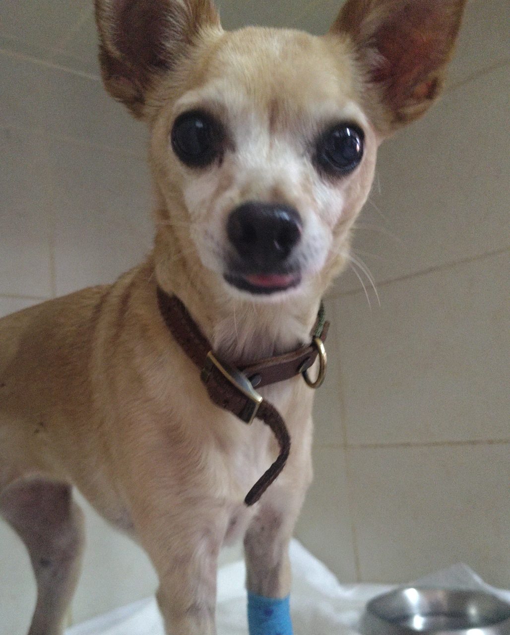 Foto