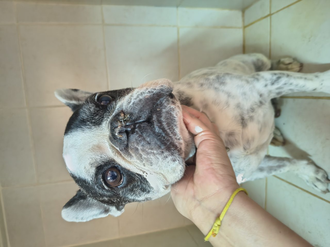 Foto