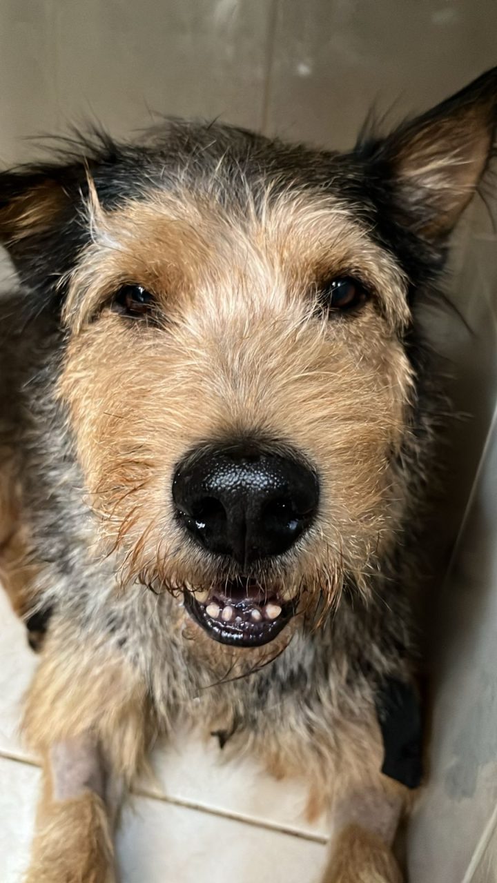 Foto