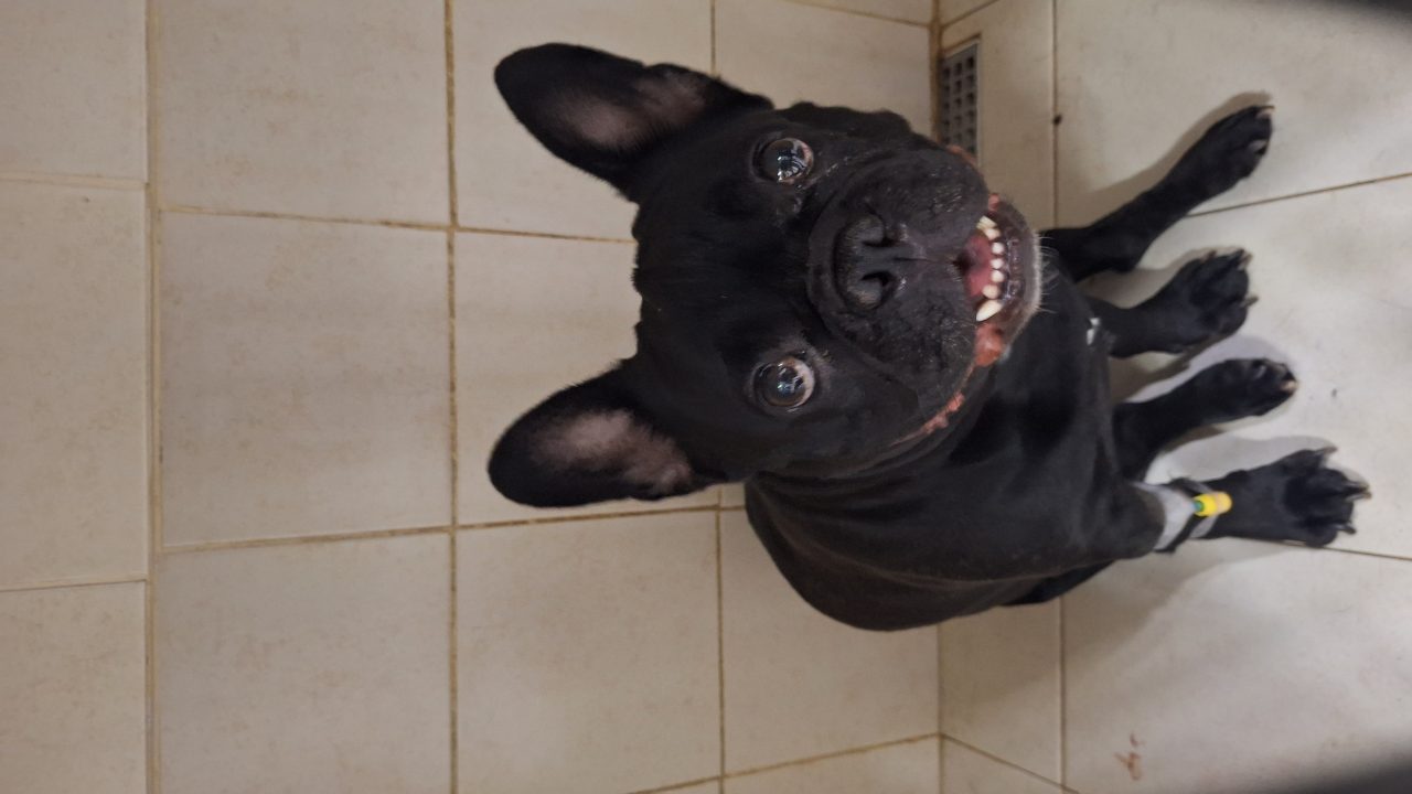 Foto