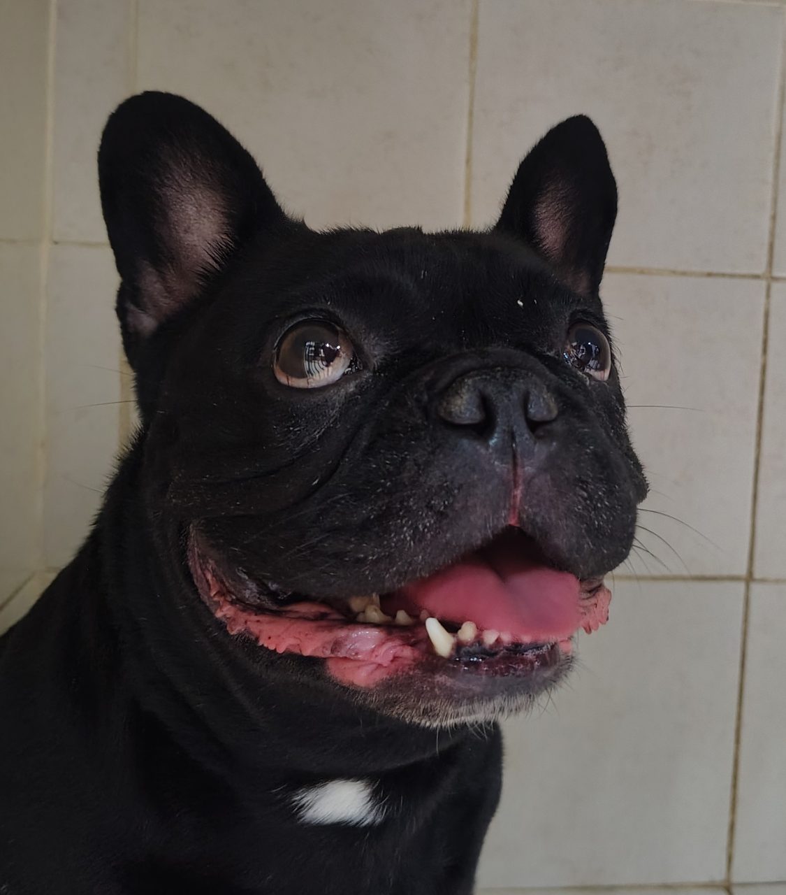 Foto