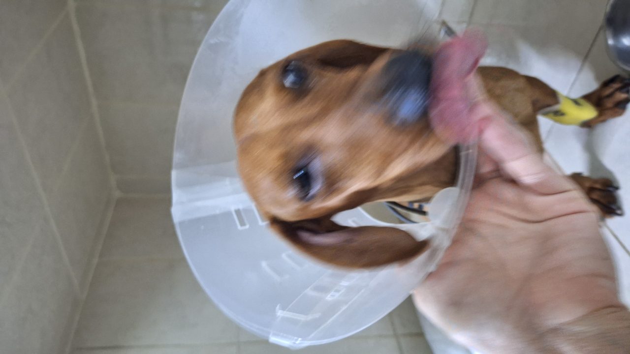 Foto