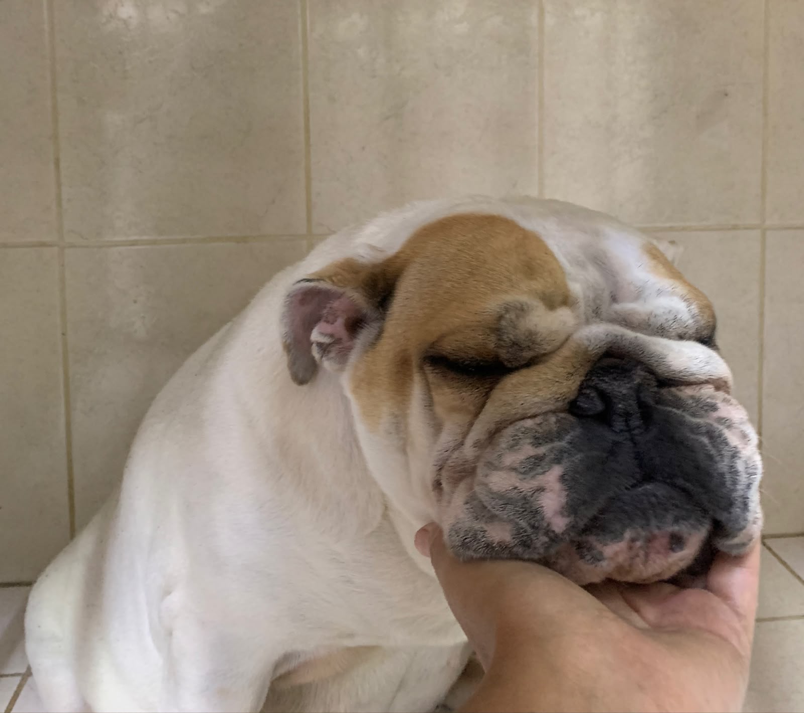 Foto