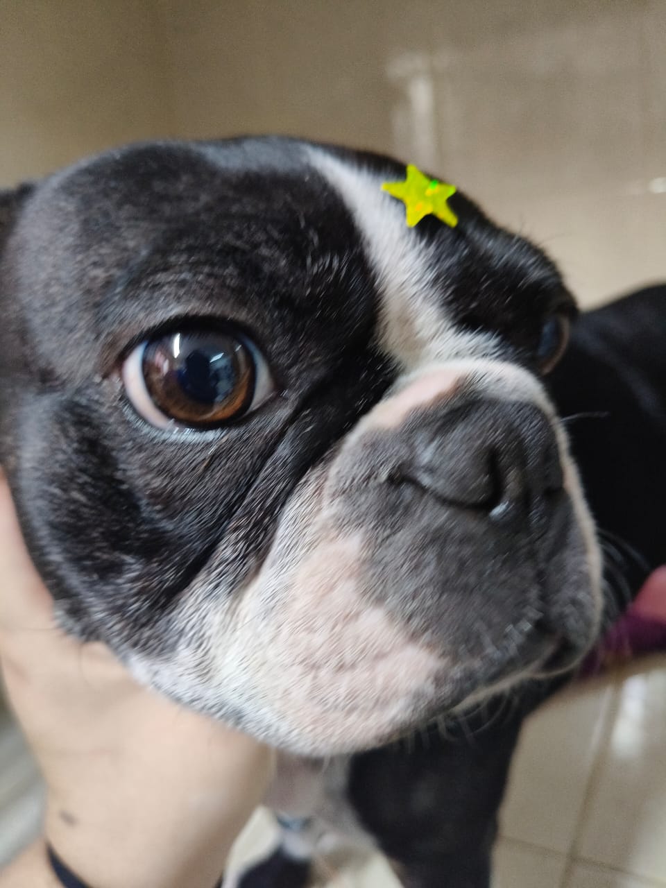 Foto