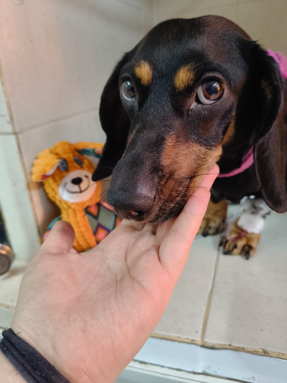 Foto